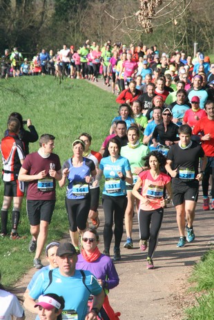 vosgigazelle 20160017