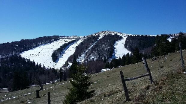 photo alain markstein