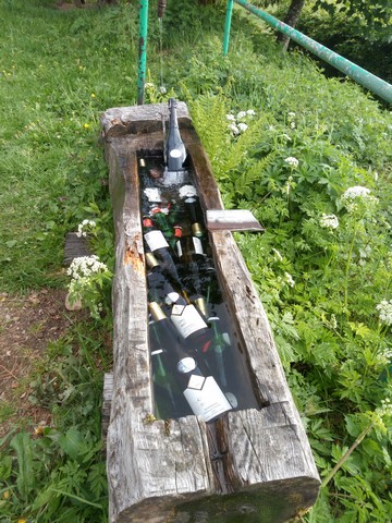 WE trail 2018CRC0085