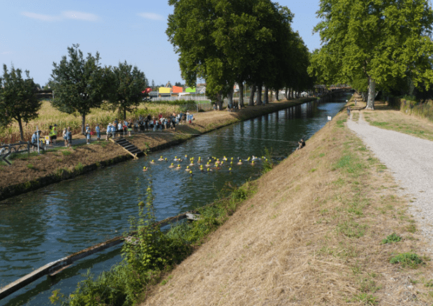 Capture d_écran 2018-08-22 à 08.06.50